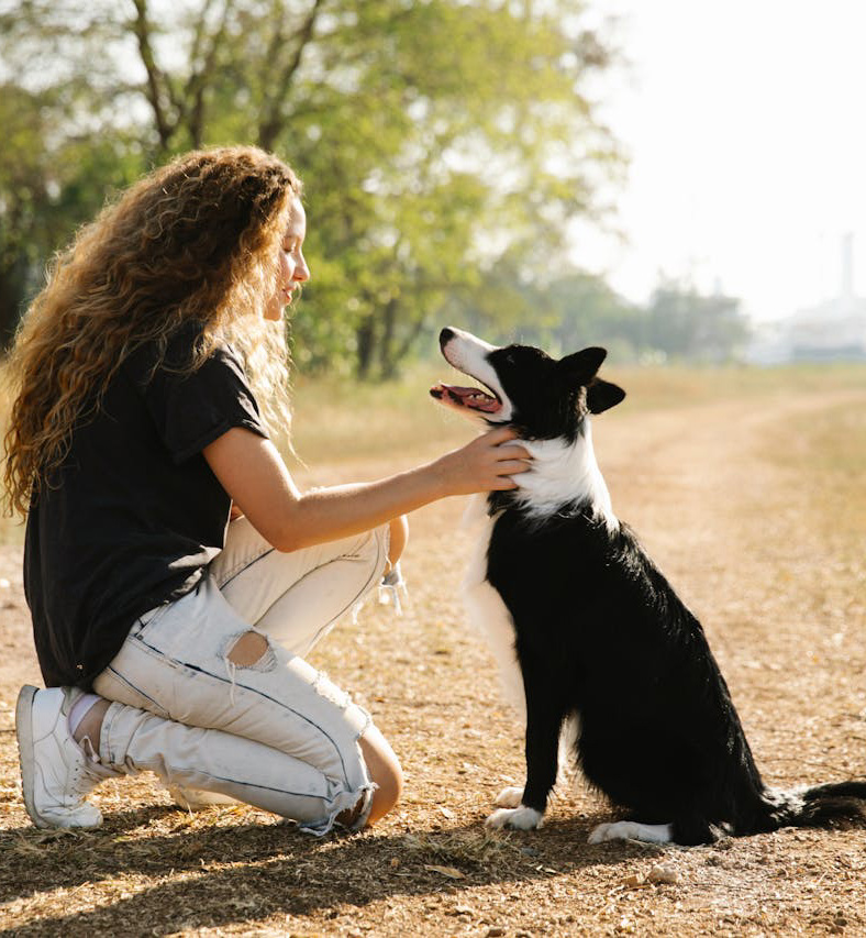 Dog friendly villas